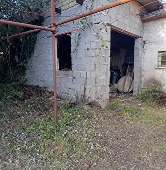 Foto annuncio 18