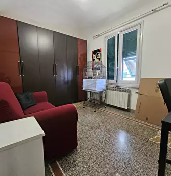 Foto annuncio 17