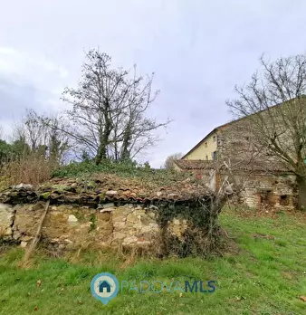 Foto annuncio 13