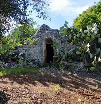 Foto annuncio 1