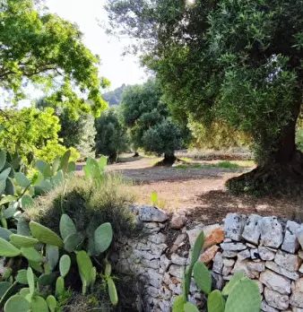 Foto annuncio 5