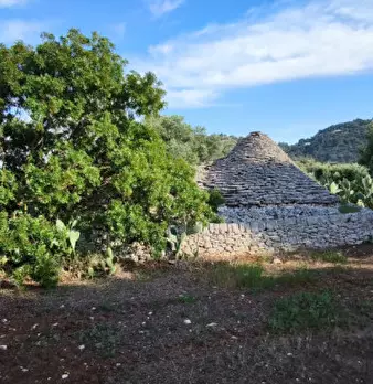 Foto annuncio 13