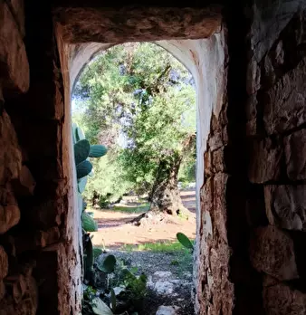 Foto annuncio 21