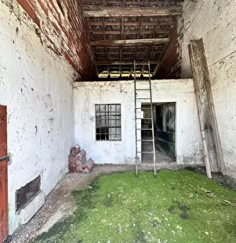 Foto annuncio 22