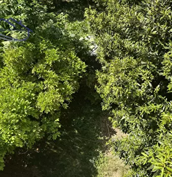 Foto annuncio 28