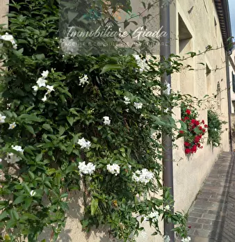 Foto annuncio 1