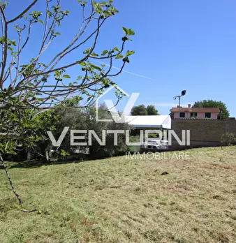 Foto annuncio 19