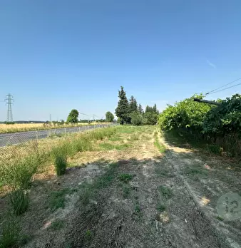 Foto annuncio 3