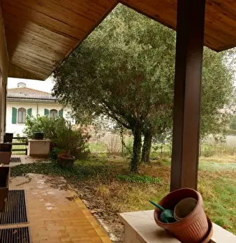 Foto annuncio 5