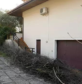 Foto annuncio 8