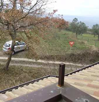 Foto annuncio 6