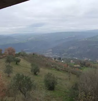 Foto annuncio 11
