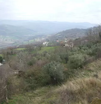 Foto annuncio 12