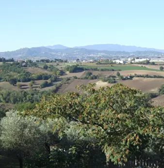Foto annuncio 8