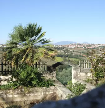 Foto annuncio 10