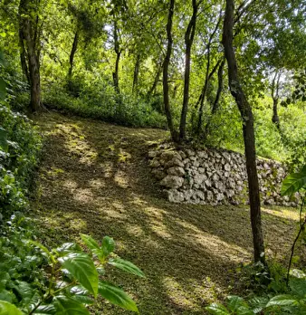Foto annuncio 27