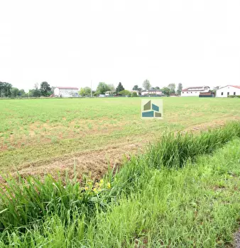 Foto annuncio 4