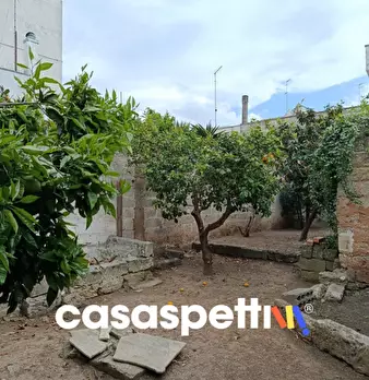 Foto annuncio 2
