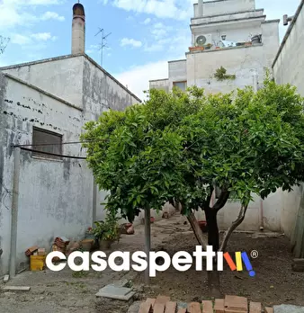 Foto annuncio 5