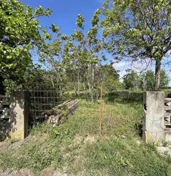 Foto annuncio 20