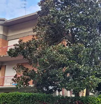 Foto annuncio 6