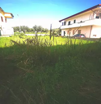 Foto annuncio 7