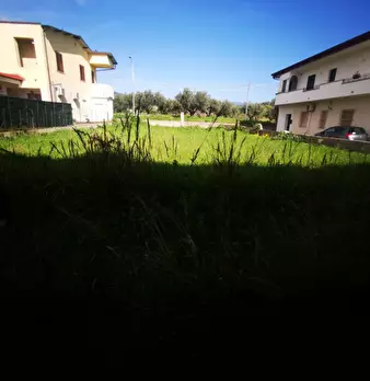 Foto annuncio 21