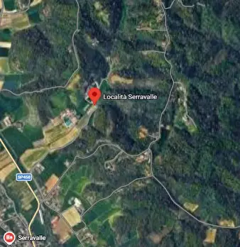 Foto annuncio 2