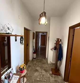Foto annuncio 11