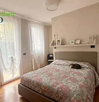 Foto annuncio 12