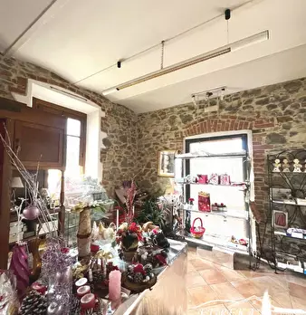 Foto annuncio 6