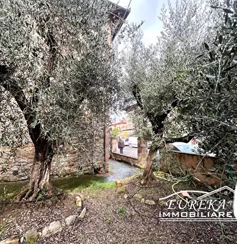 Foto annuncio 33