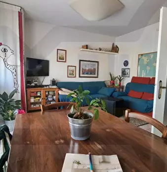 Foto annuncio 6