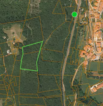 Foto annuncio 2