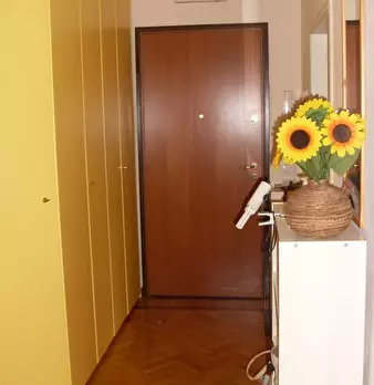 Foto annuncio 9