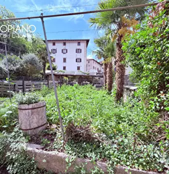 Foto annuncio 5