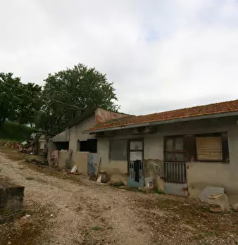 Foto annuncio 20