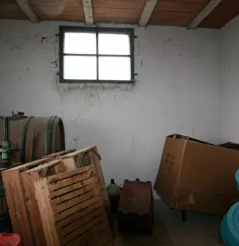 Foto annuncio 23