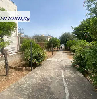 Foto annuncio 36