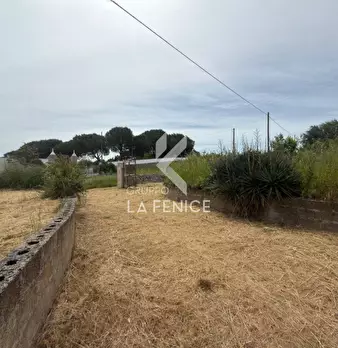 Foto annuncio 24
