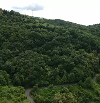 Foto annuncio 10
