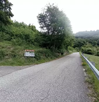 Foto annuncio 14