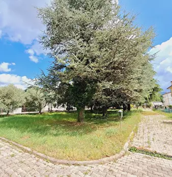 Foto annuncio 21