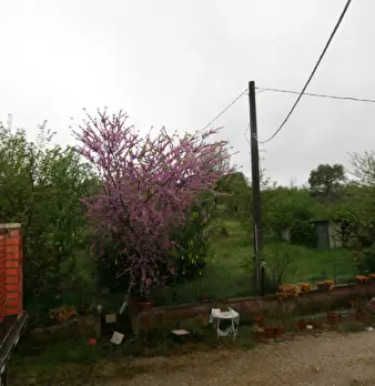 Foto annuncio 26