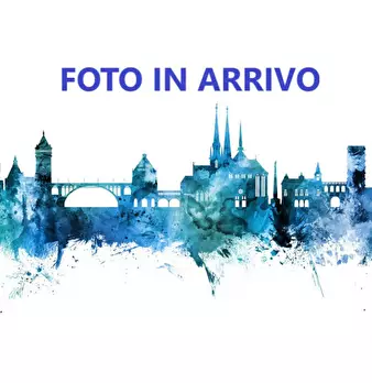 Foto annuncio 4