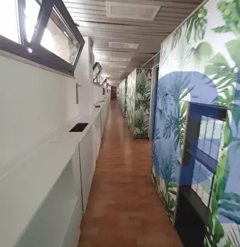 Foto annuncio 14
