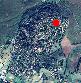 Foto annuncio 10