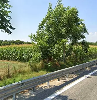 Foto annuncio 1