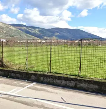 Foto annuncio 1