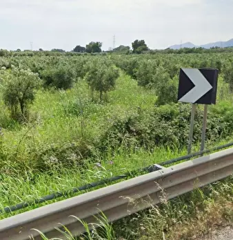 Foto annuncio 2